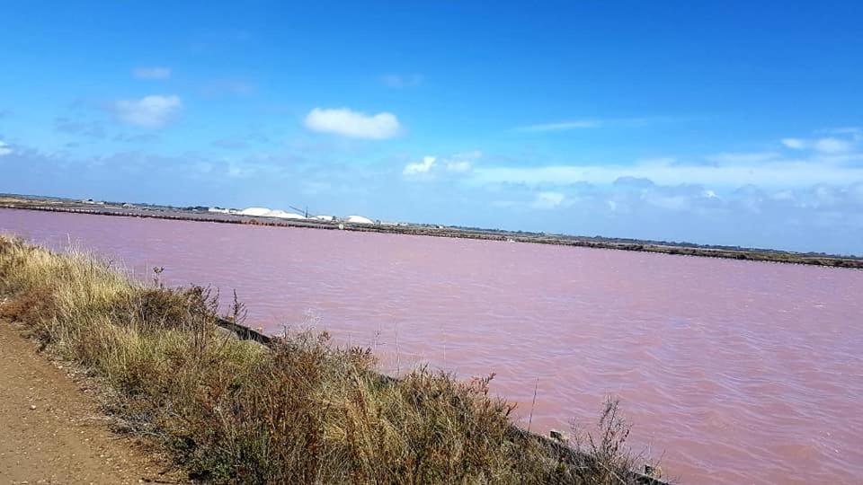 شقة Vue Imprenable Sur Le Port, Proche Plages ! لا غراند موت المظهر الخارجي الصورة